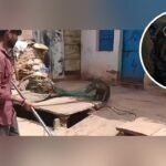 शिवपुरी में आवारा कुत्ते को पकड़ती नगर पालिका की टीम