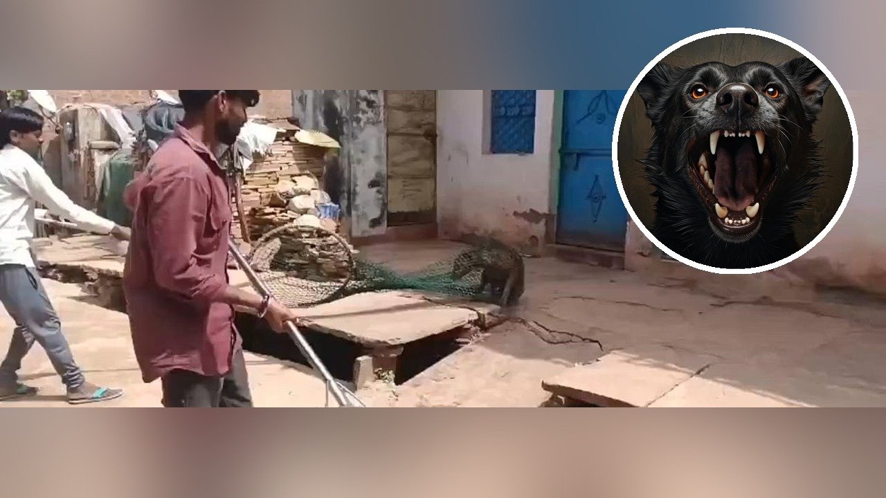 शिवपुरी में आवारा कुत्ते को पकड़ती नगर पालिका की टीम