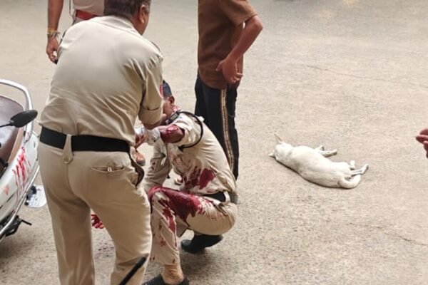 मल्हारगंज में घायल हेड कांस्टेबल को संभालते पुलिसकर्मी