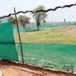 Prime Minister Narendra Modi at Kuno National Park during the cheetah release ceremony (file photo)