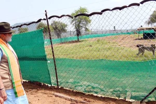Prime Minister Narendra Modi at Kuno National Park during the cheetah release ceremony (file photo)