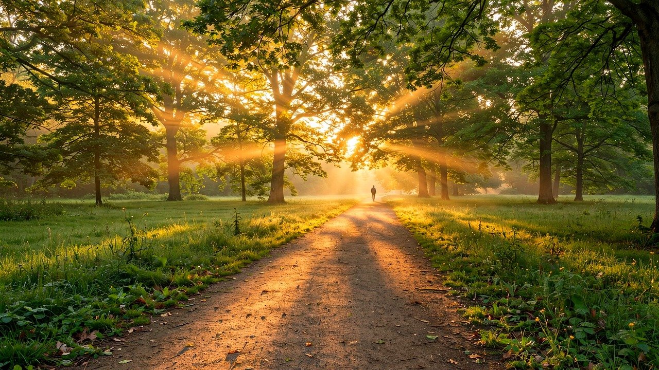 सुबह की धूप में टहलते लोग — स्वास्थ्य टिप