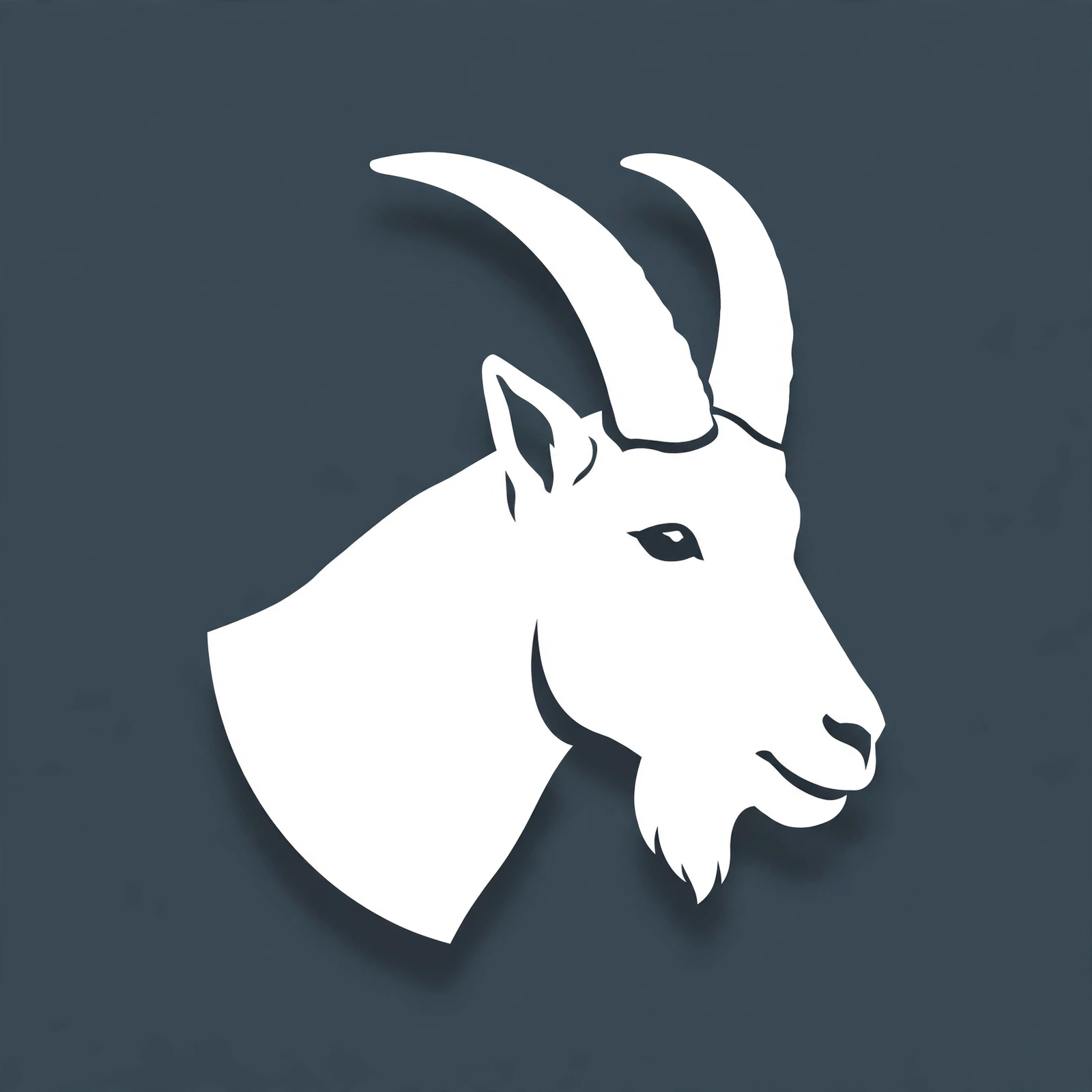 Zodiac sign: Capricorn