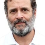 राहुल गांधी (फोटो: विकिमीडिया कॉमन्स)