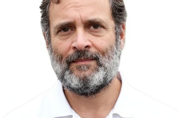 राहुल गांधी (फोटो: विकिमीडिया कॉमन्स)