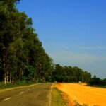 Assam highway, symbolic image