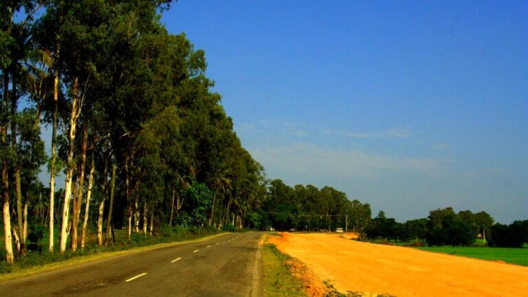 Earthquake Jolts Assam’s Nagaon at ‘4.5 Magnitude’: Residents Rush Out as Tremors Strike at 4:23 AM